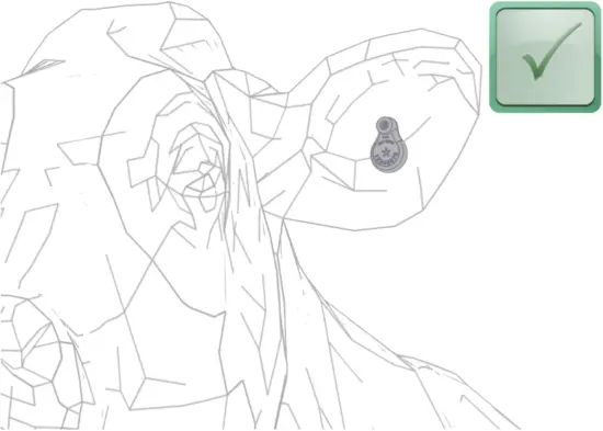 nedap FERPH - attach SmartTag Ear 3