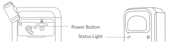 netvue Birdfy Smart AI Bird Feeder Camera - The Camera