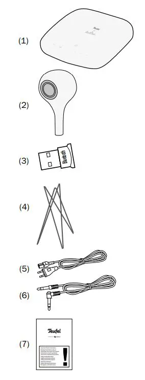 Teufel Rosenthal Best Sound Loudspeaker Set User Manual - Package contents