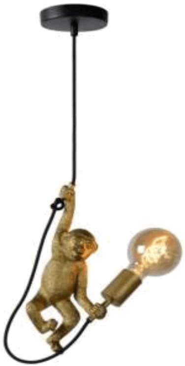 Lucide EXTRAVAGANZA CHIMP Hanglamp - FIG 1