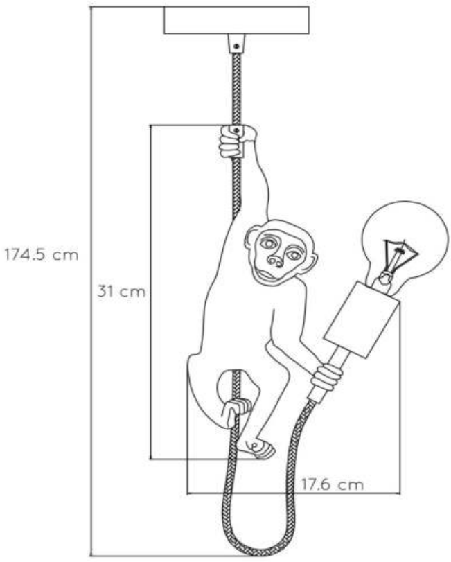 Lucide EXTRAVAGANZA CHIMP Hanglamp - FIG 3