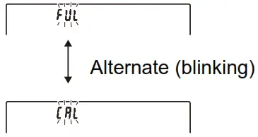 AND GX AE GX A GX AWP GX AWP Series Multi Function Balance - Display20