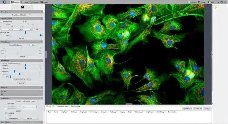 euromex Image Focus Plus Software product-img