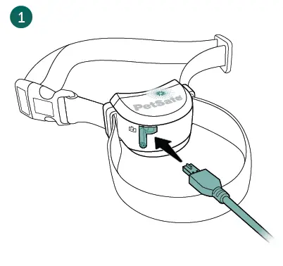 PetSafe Stay & Play® Compact Wireless-02