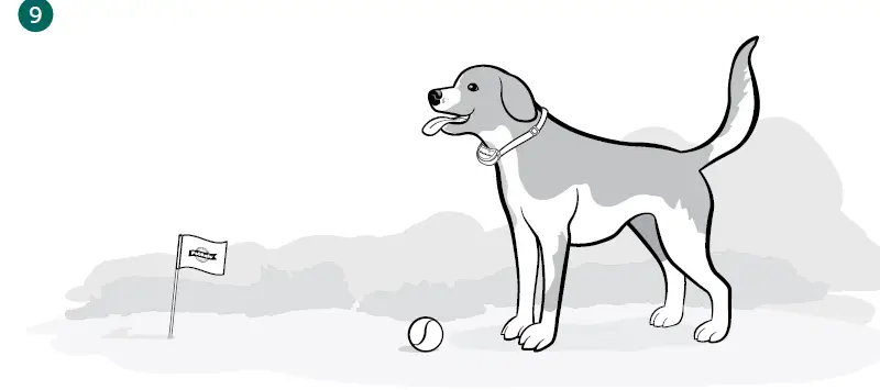 PetSafe Stay & Play® Compact Wireless-09