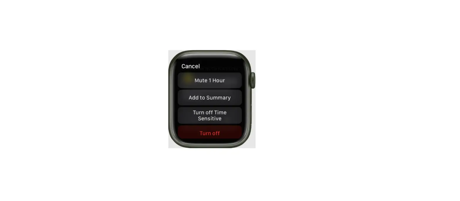 Change The Audio And Notification Settings On Your Apple Watch