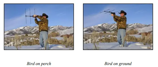 Marshall-RT-Standard-Transmitter-FIG-3