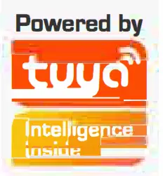 Shenzhen Pasensi Technology 12018 CCTV Camera -TuyaS