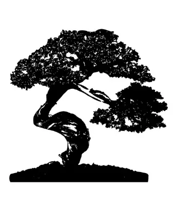 Bonzai-NR4-141601-Radio-Set-2