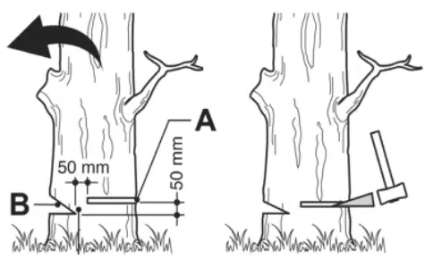 anova MG3514 1 6CV Chainsaw - OPERATION 4