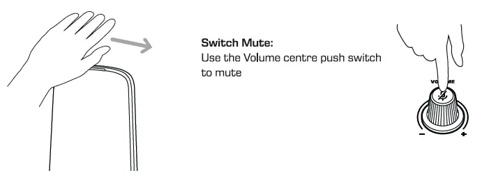MUTE FUNCTIONS