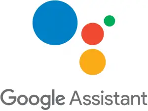 Google assistant