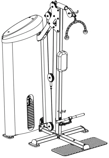 Body Solid S2BTP Bicep and Tricep Machine