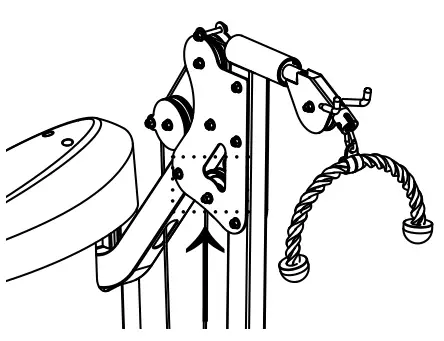 Body Solid S2BTP Bicep and Tricep Machine - fig