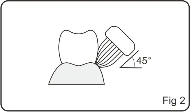 kogan Soniclean Pro Toothbrush - How to Use 2