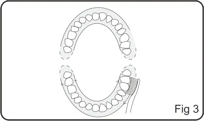 kogan Soniclean Pro Toothbrush - How to Use 3