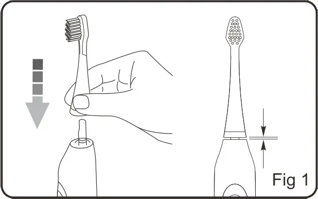 kogan Soniclean Pro Toothbrush - How to Use