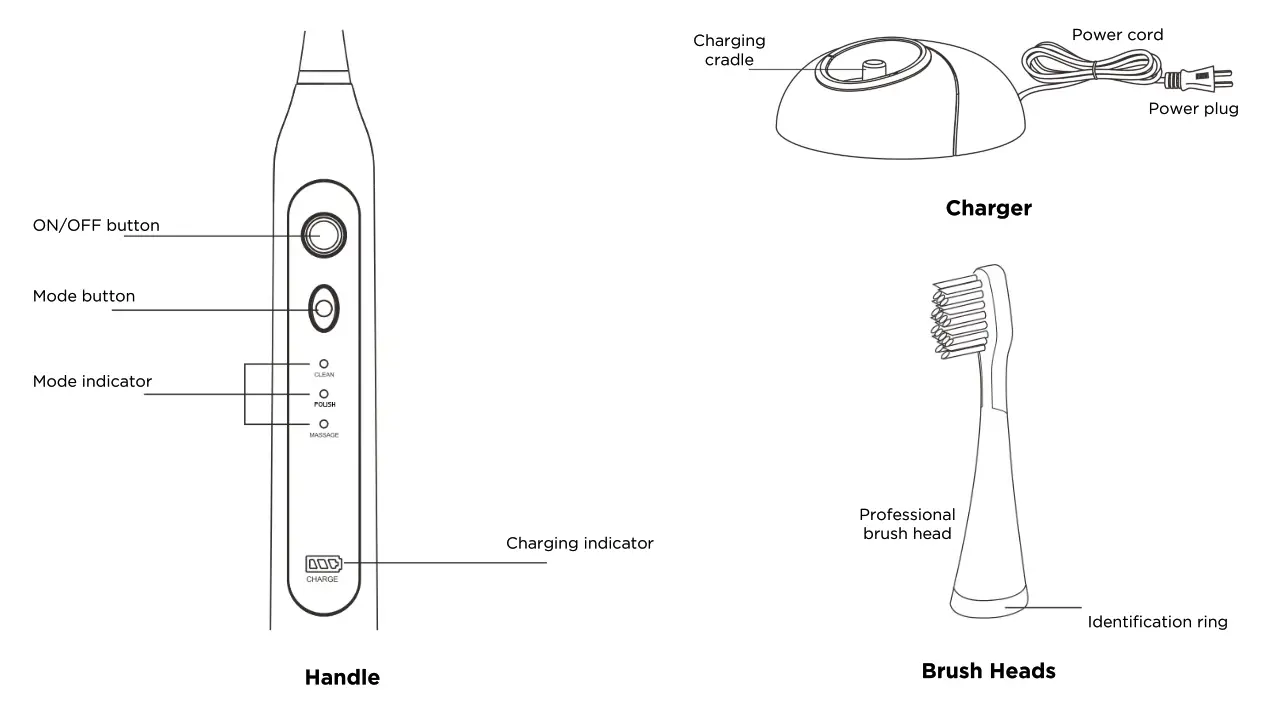 kogan Soniclean Pro Toothbrush - Product Layout