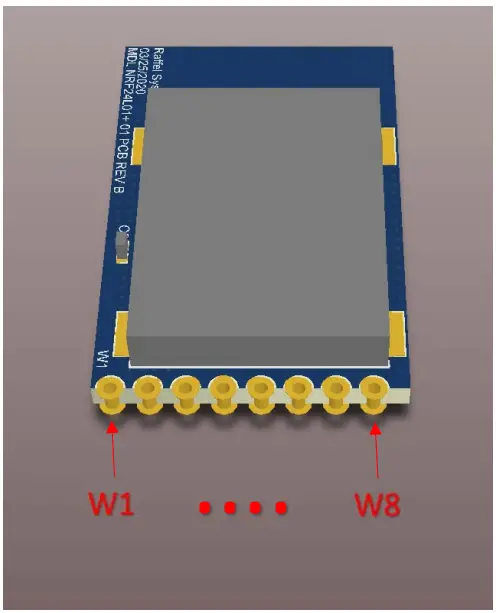 Raffel MDLNRF24L01 02 Module fig