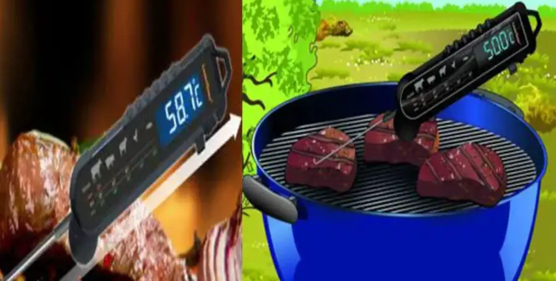 Laserliner 082.029a Thermomaître Professional Thermometer Instruction Manual