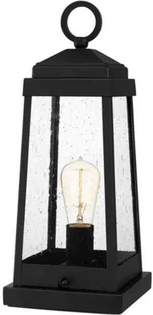 QUOIZEL RNL9807EK 17 Inch Earth Black Outdoor Table Lamp