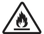 Fire Icon