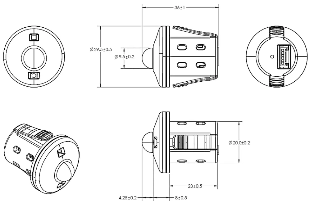 Wisilica Cyrus F - Fig