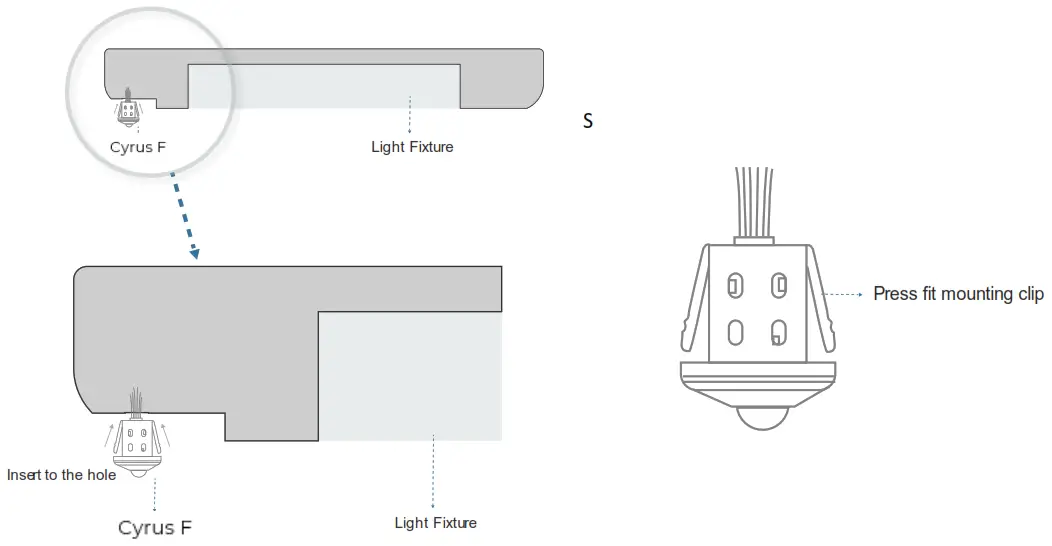 Wisilica Cyrus F - Gently