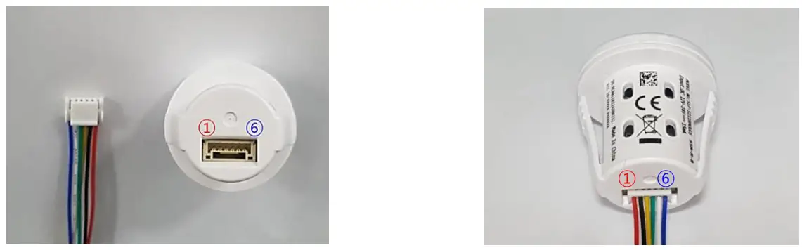 Wisilica Cyrus F - Wire Description