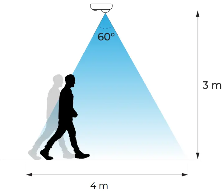 Wisilica Cyrus F - Wire Description1