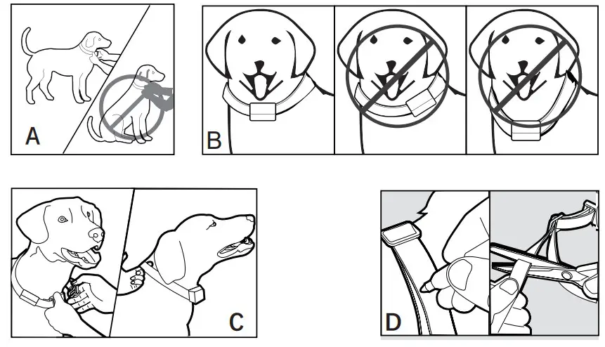 chewy B801 Bark Control Collar - Figure 14