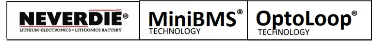 Lithionics-Battery-UL-508-NeverDie-Standard-BMS-fig-1