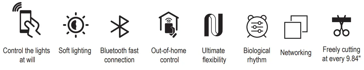 LOYCCO RGBCW10M Smart Full Color Light Strip -Product introduction1