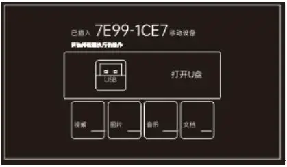 Shenzhen Holatek H79P Smart Projector Instruction Manual - USB Storage Devices