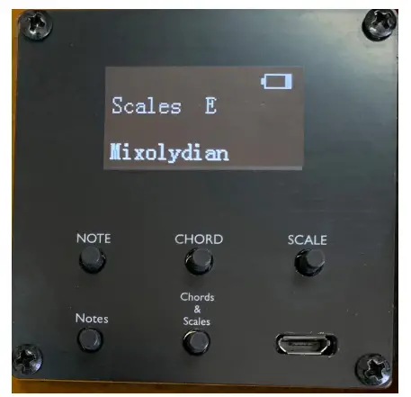 FRETLIGHT FT 600D Traveler Ultra Light Guitar - Started