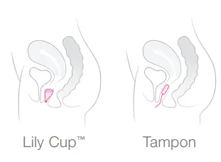 INTIMINA-Lily-Cup-Line-fig22
