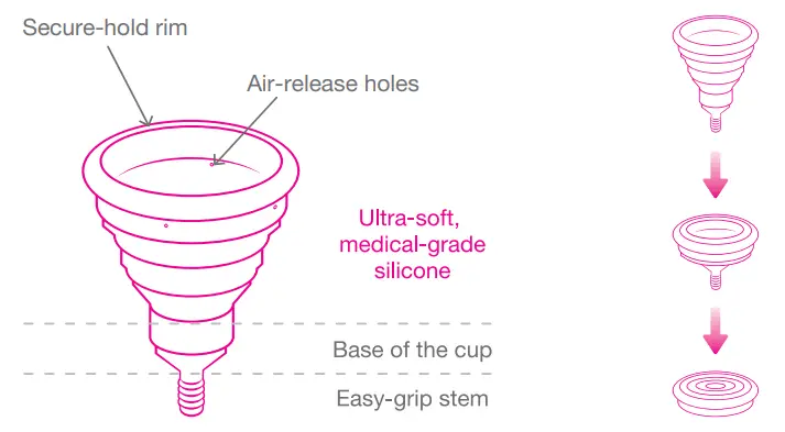 INTIMINA-Lily-Cup-Line-fig3