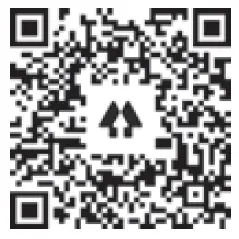 COMICA-Vimo-S-UC-2-4G-Dual-Channel-FIG-11