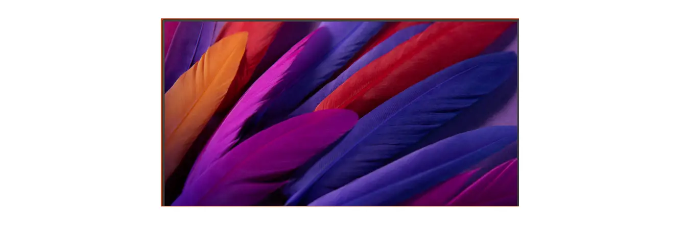 Onn 100012586-ca 55 Inch 4k Uhd Hdr10 Roku Tv Owner's Manual Onn 100012586-ca 55 Inch 4k Uhd Hdr10 Roku Tv Owner's Manual