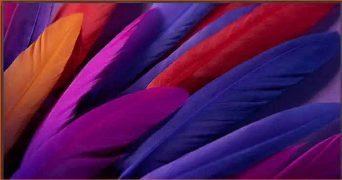 onn 100012586-CA 55 Inch 4K UHD HDR10 Roku TV-fig1