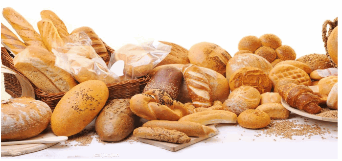 ALZAIN XYF 1ED Electric Oven -