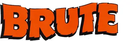 Brute-Deluxe-BMT2V-Volume-Water-Heater-LOGO