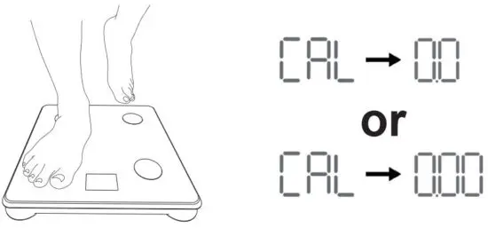 FIG 9 Recalibration.JPG