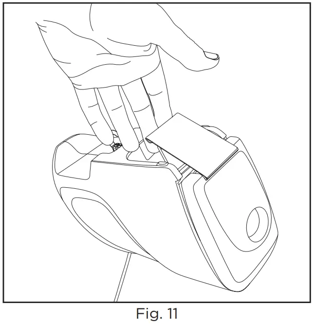 Maintenance And Care