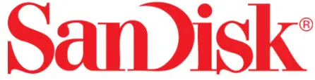 SanDisk Iogo