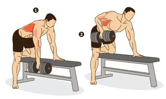 kogan FSADDBBS40A Adjustable Dumbbell and Barbell- Barbell Back