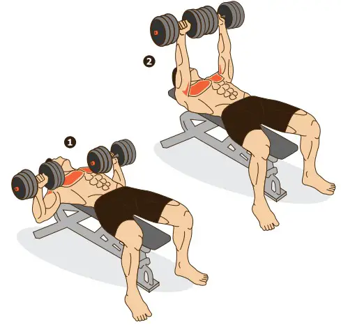 kogan FSADDBBS40A Adjustable Dumbbell and Barbell- Bent Over