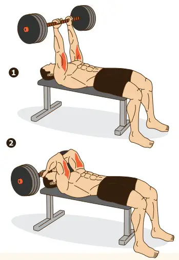 kogan FSADDBBS40A Adjustable Dumbbell and Barbell- Dumbbell Hammer