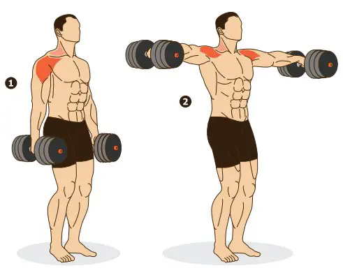 kogan FSADDBBS40A Adjustable Dumbbell and Barbell- Lying Triceps