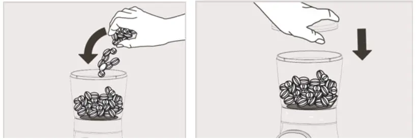 Healthy Choice CG112 Electric Burr Coffee Grinder Instructions Fig6